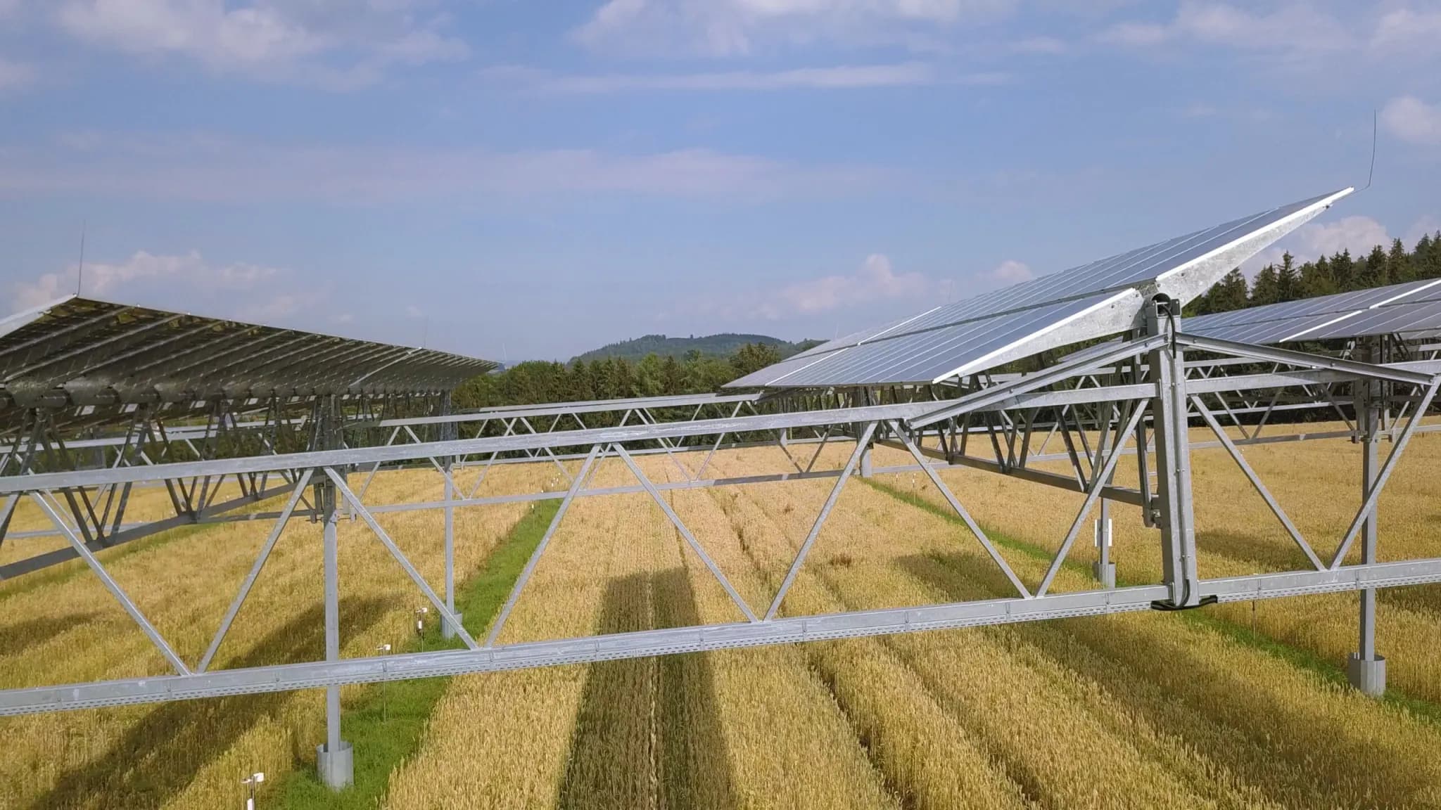 Agrivoltaica: Uniting Agriculture and Solar Power